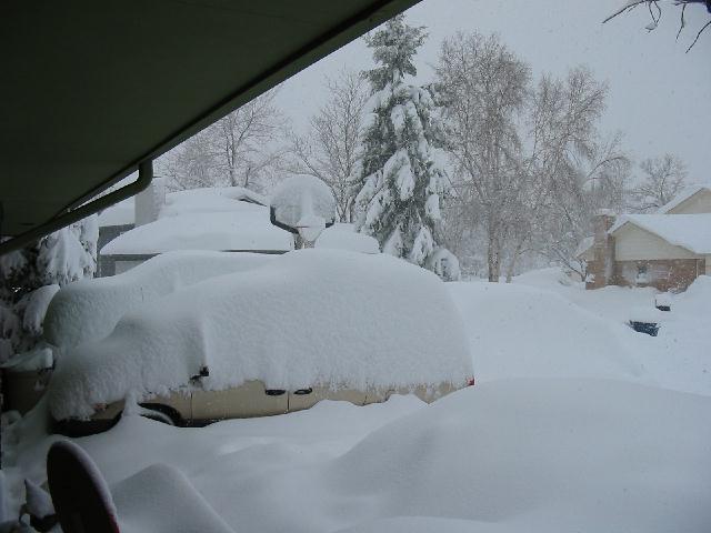 frontyard.jpg